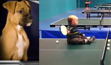 Puppy vs Baby Puppy vs Baby