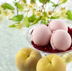 Pomegranate, White Peach & Orange Blossom sorbet Pomegranate, White Peach & Orange Blossom sorbet