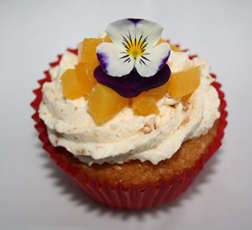 <b>TCIF - Amaretto Apri...</b>