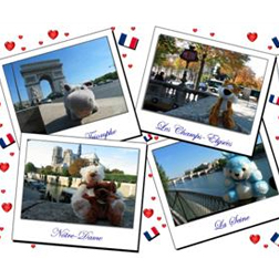 <b>Tours For Your Toys?...</b>