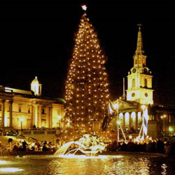 <b>Trafalgar's Christma...</b>