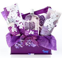 <b>Plum Gorgeous...</b>