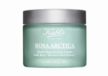 Rosa Arctica Rosa Arctica