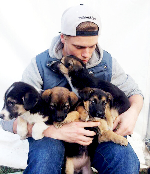 Gus Kenworthy and his Sochi puppies.