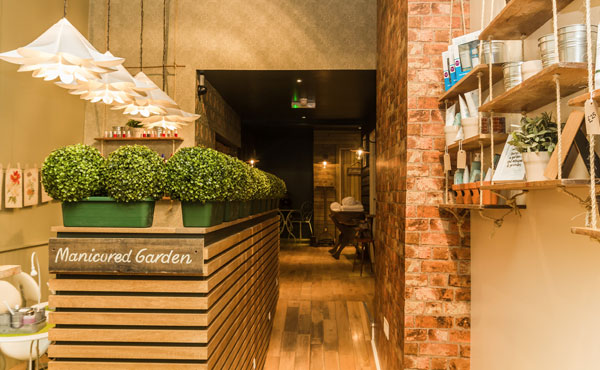 Privet Wax Bars, London.