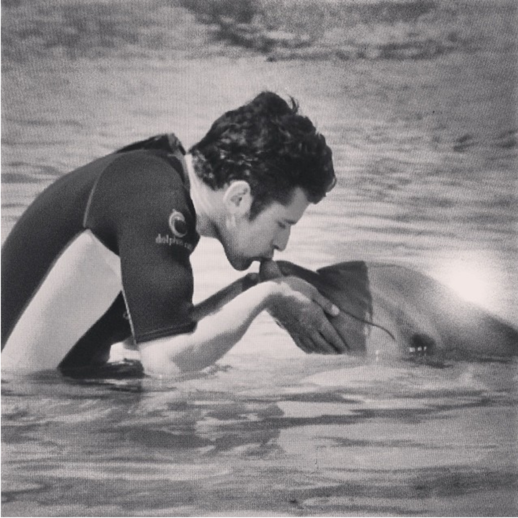 Screen Shot 2014-11-12 at 10.58.30 AM