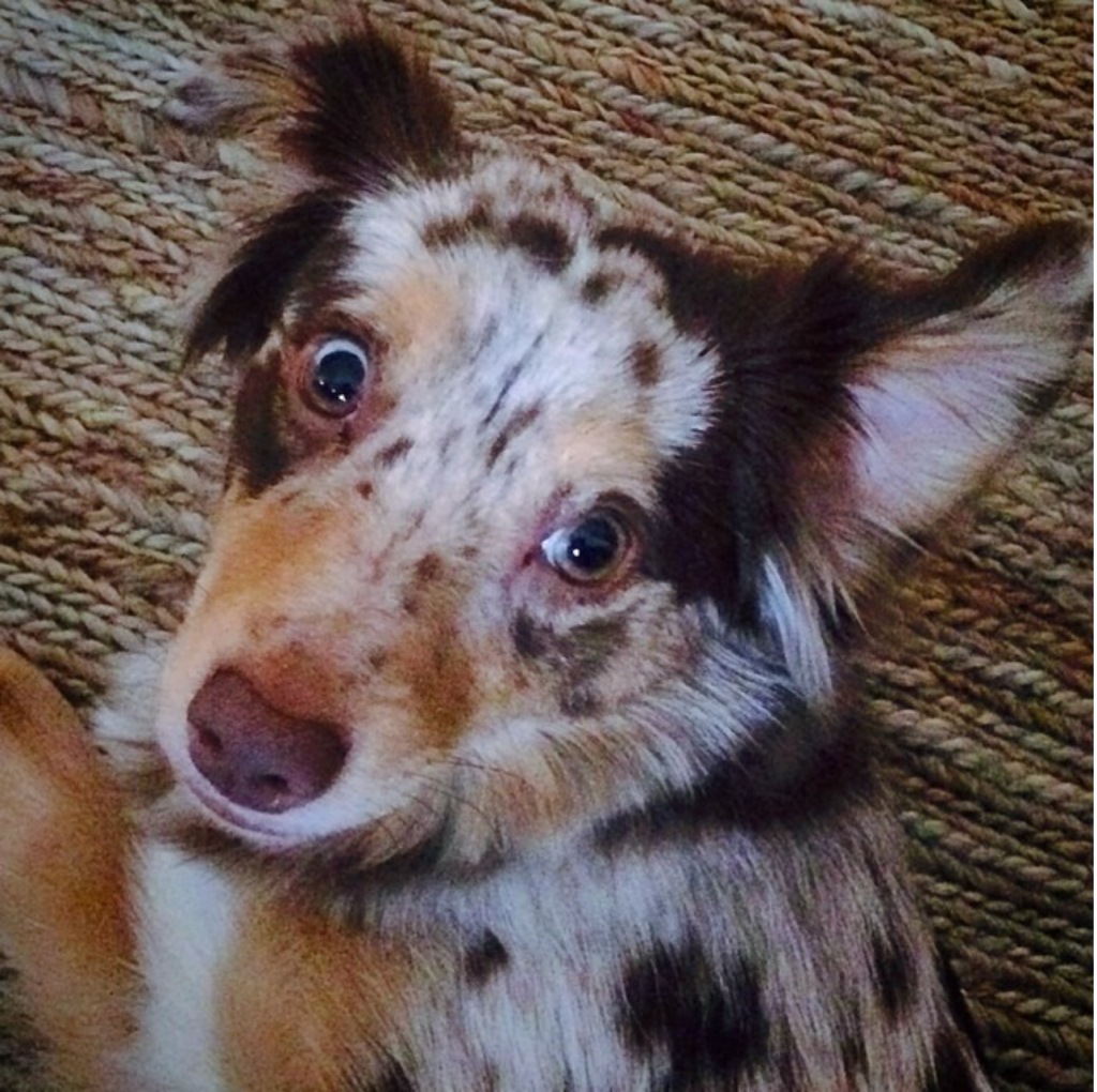 Screen Shot 2014-11-12 at 10.58.59 AM