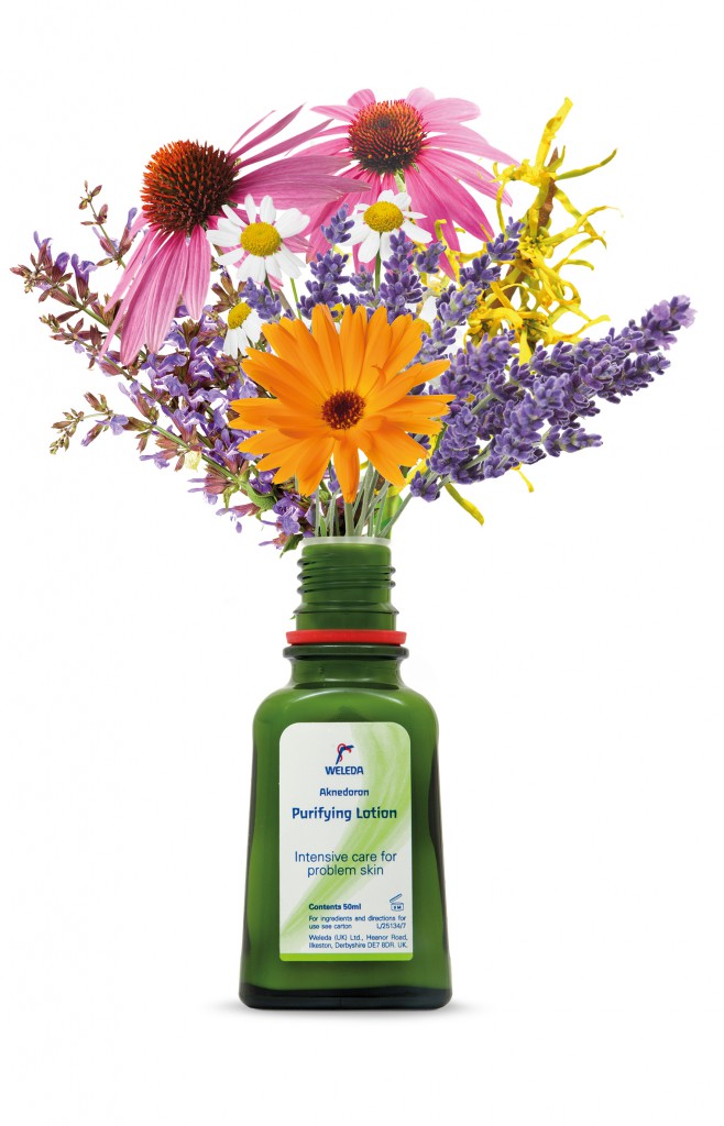 Beauty Spotlight: Weleda Aknedoron Purifying Lotion.