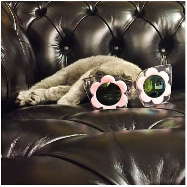 Screen Shot 2015-07-10 at 13.50.29