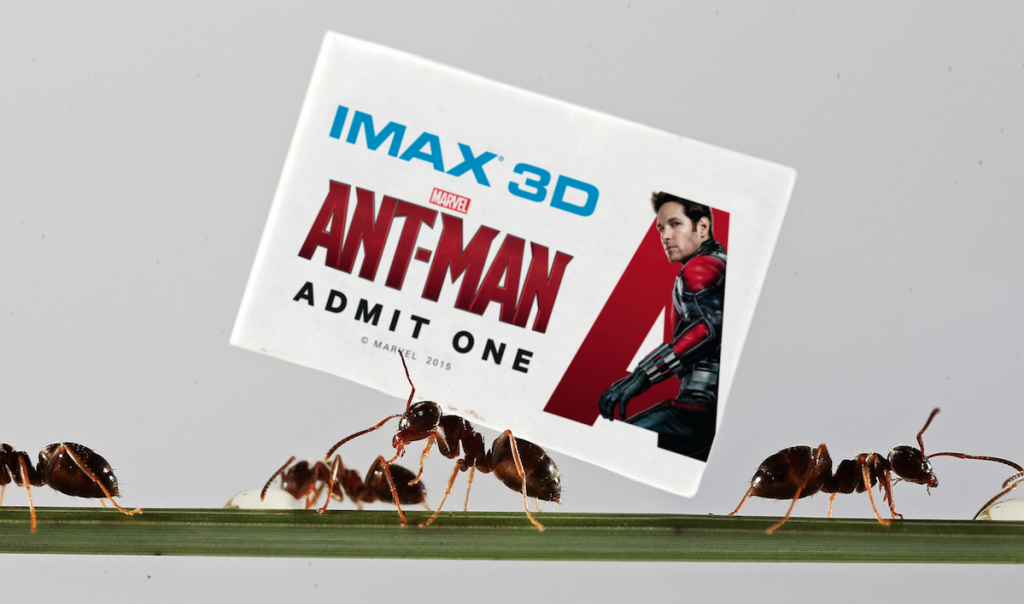 Screen Shot 2015-07-15 at 10.57.13