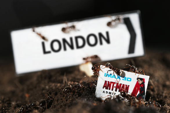 Screen Shot 2015-07-15 at 10.57.34