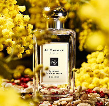 Screen Shot 2015-08-27 at 12.09.00