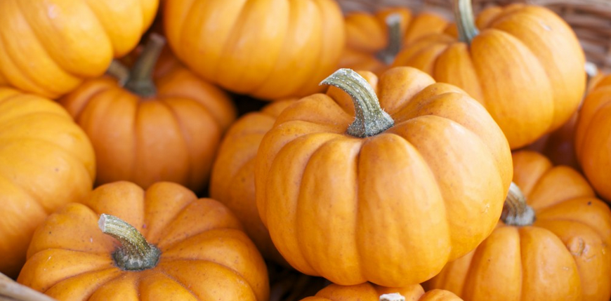 Not just a Halloween