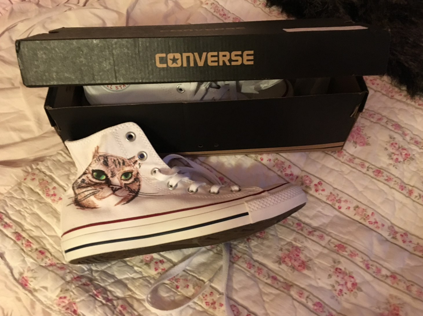 My new Converse